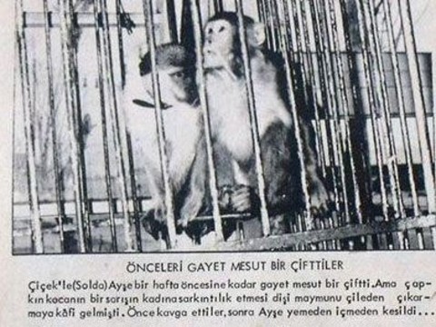 Dünyadaki şehir efsaneleri