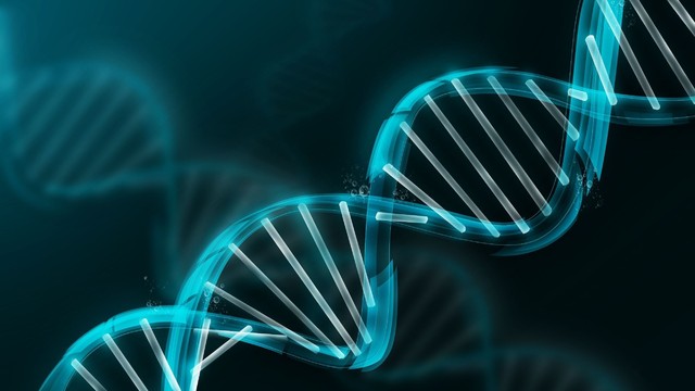 Sonunda Türklerin genetik şifresi çözüldü!