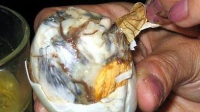 Dünyanın en garip yemekleri