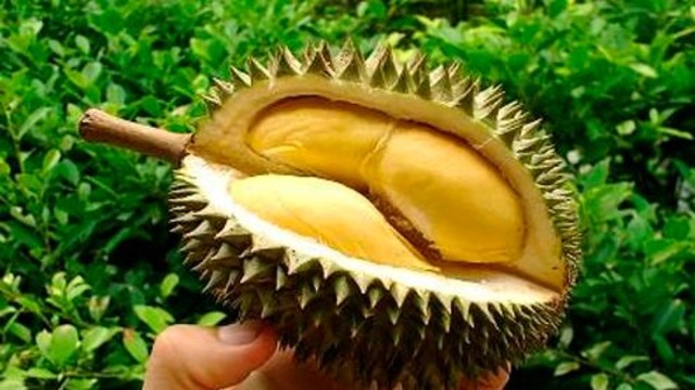 Dünyanın en garip yemekleri