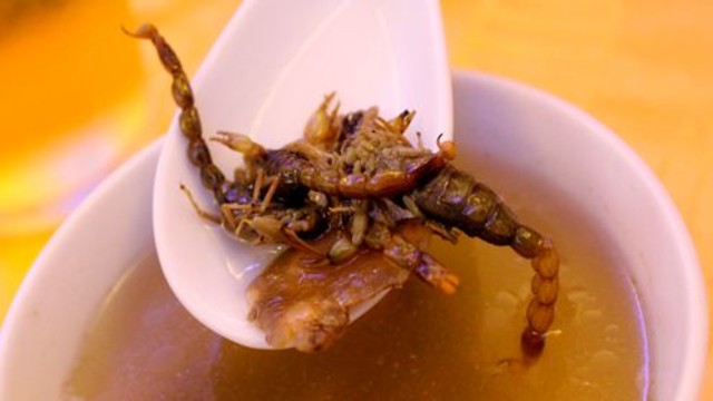 Dünyanın en garip yemekleri